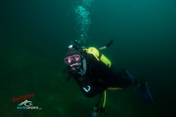 innerspace diver