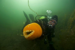 pumpkin diving