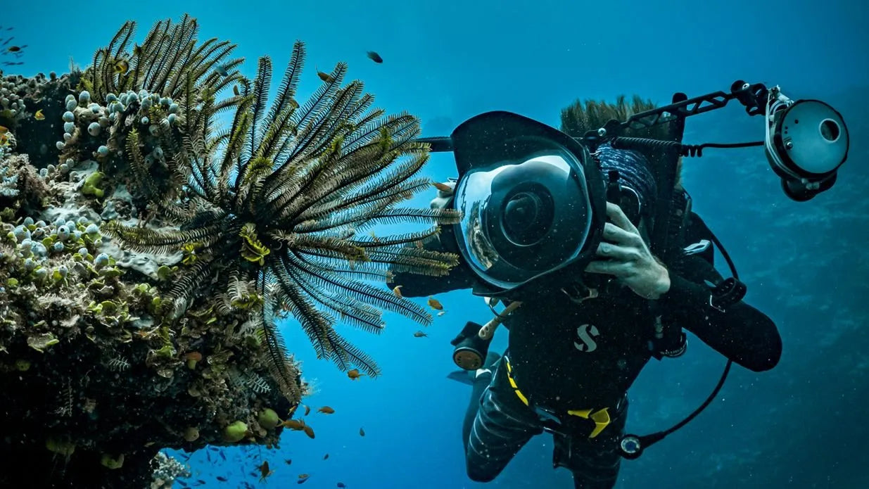Diver exploring a coral reef with scuba equipment underwater