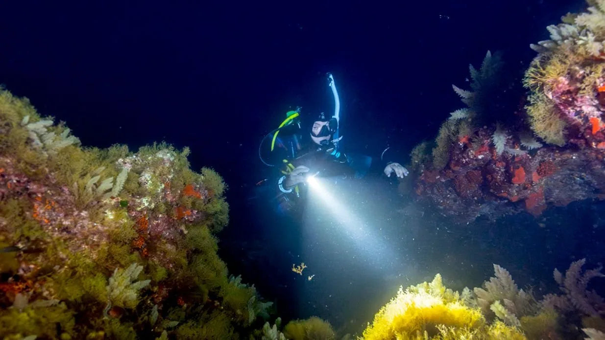 Diver exploring a vibrant underwater coral reef with a flashlight.