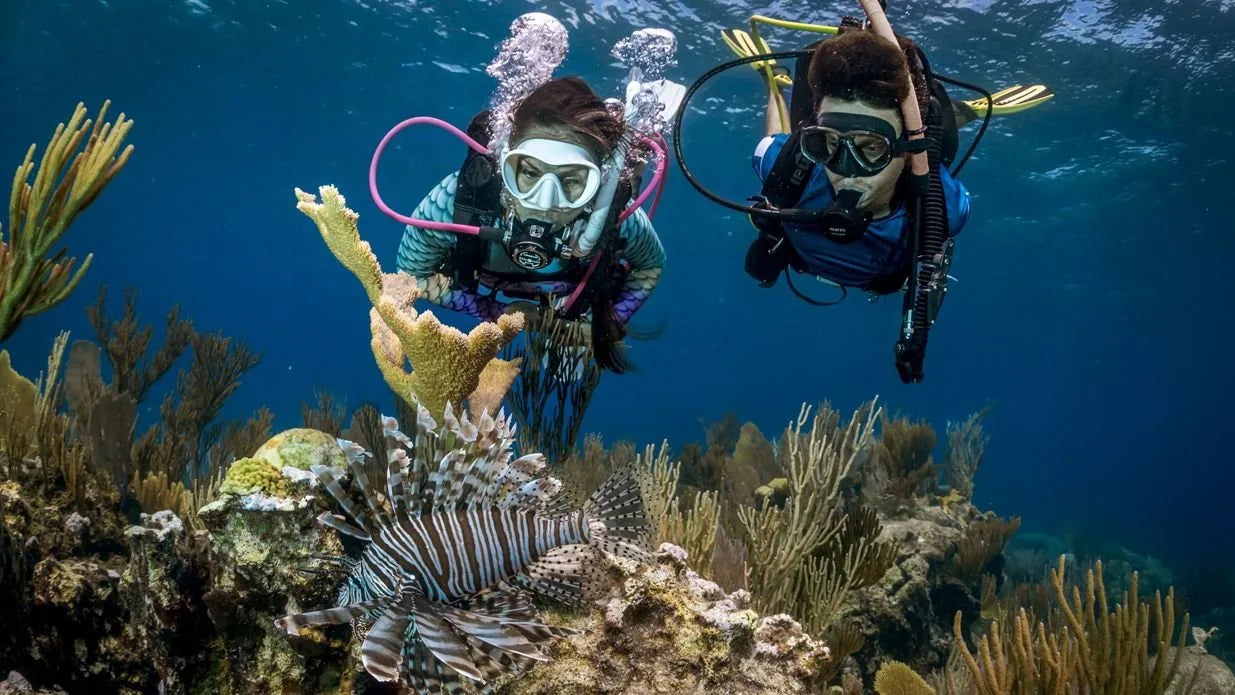 Two scuba divers exploring a coral reef underwater.