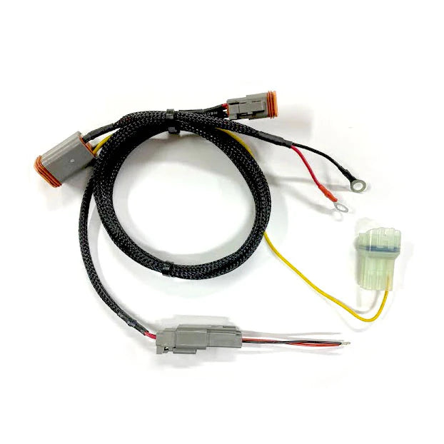 Wiring harness with connectors on a white background