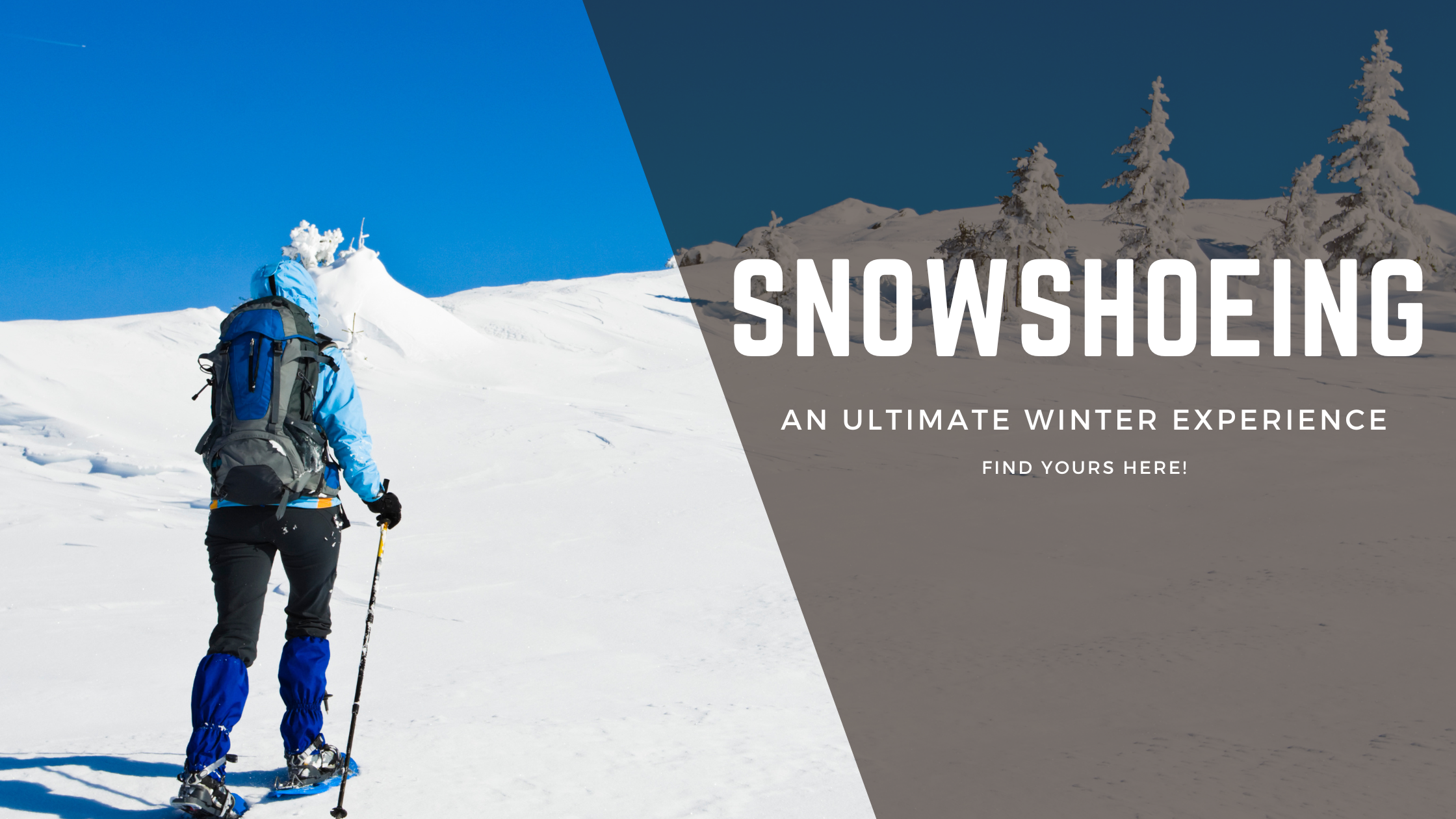 snowshoeing banner
