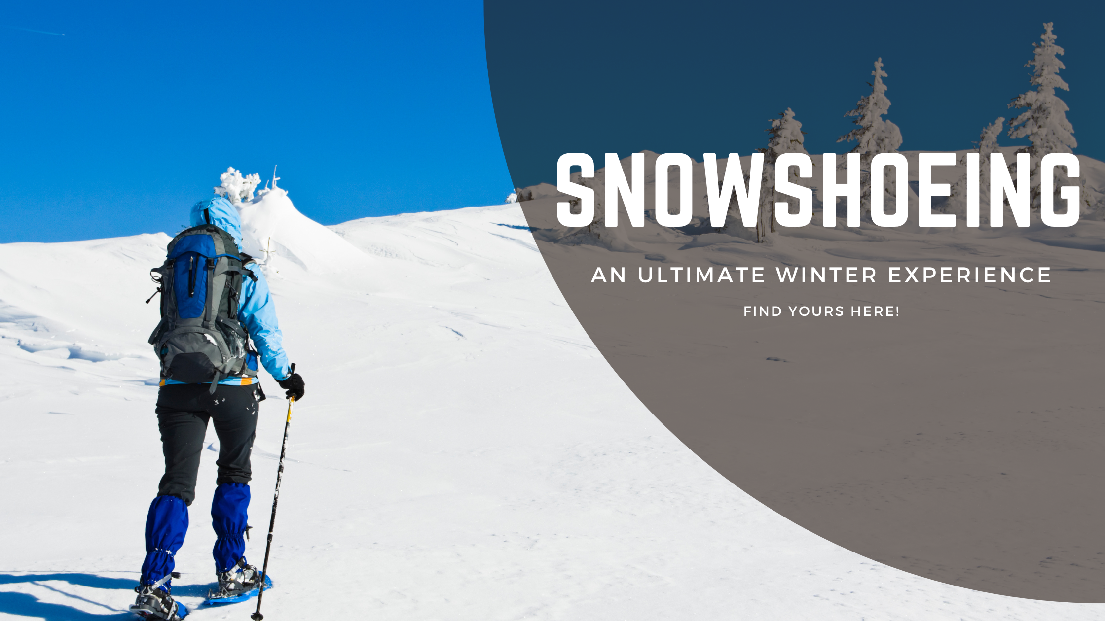 snowshoeing banner