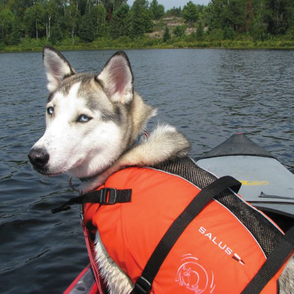 Salus red pfd