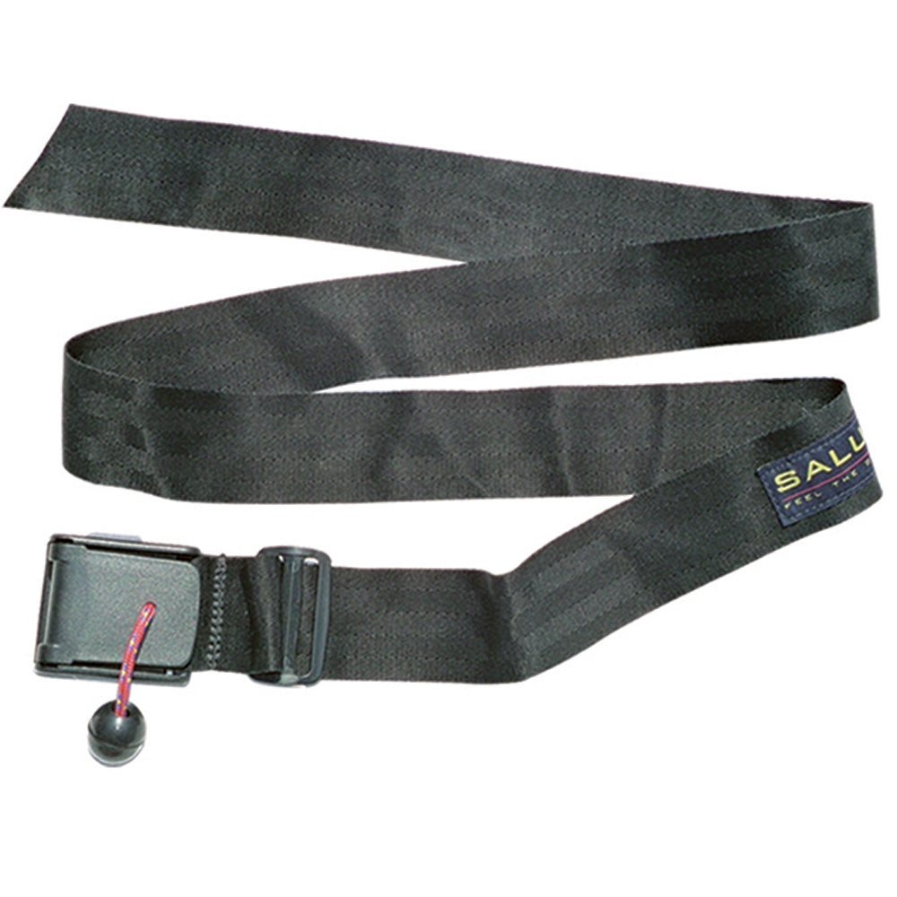 Black dog leash with a clip and ball on a white background