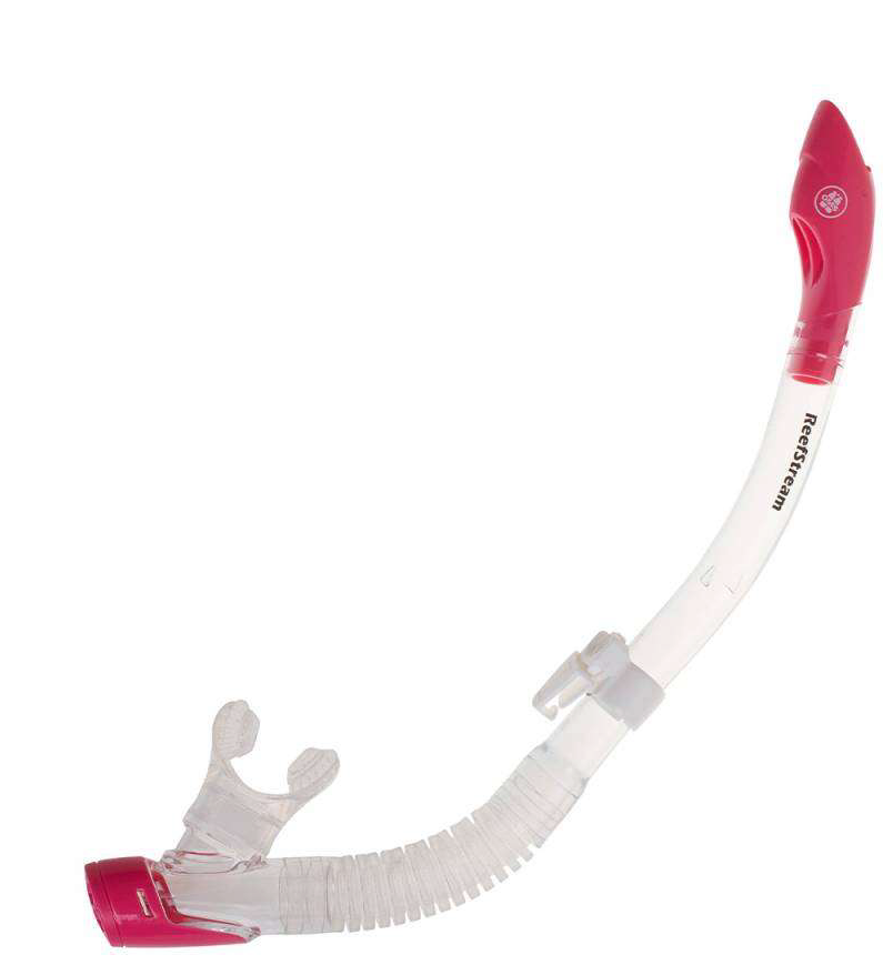 Red and white snorkel on a white background