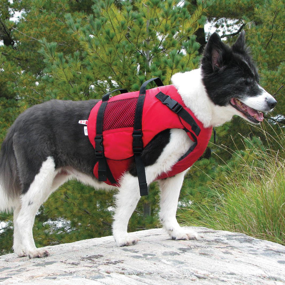 Salus red dog pfd