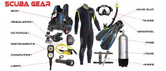 Scuba diving gear with labeled components on a white background