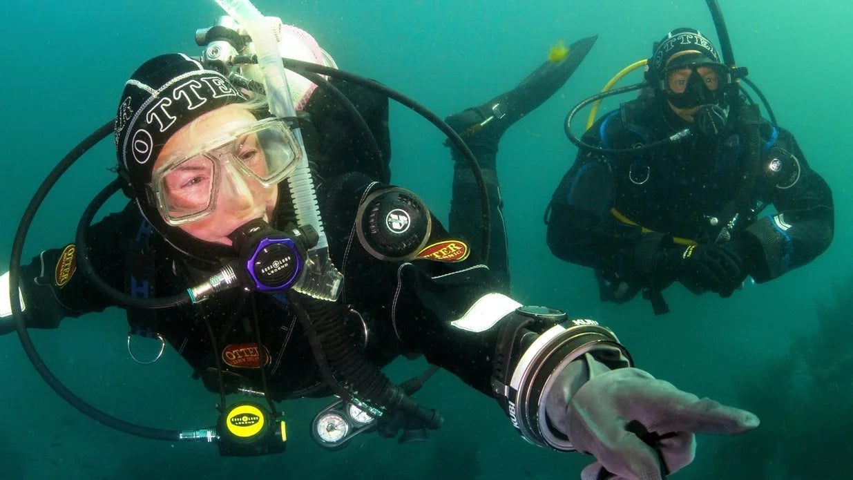 Dry suit diver