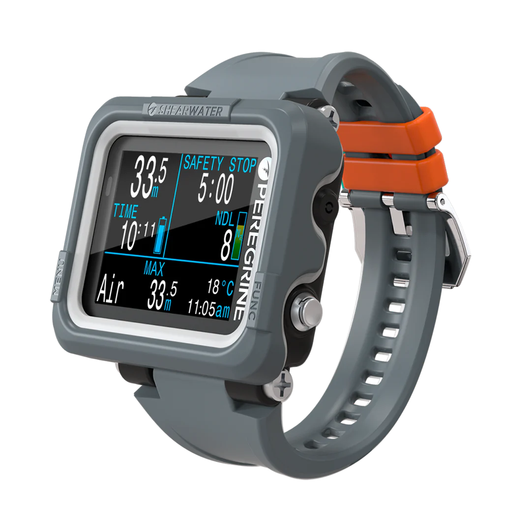 Peregrine shearwater